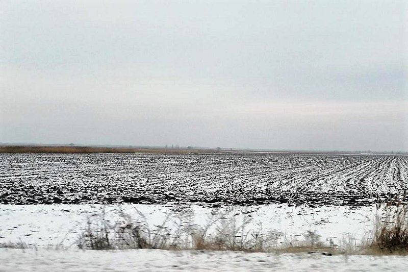 Ақпан айындағы ауа райы Қазақстанның оңтүстігіндегі күздік өсімдіктердің қысқы төзімділігіне әсер етті