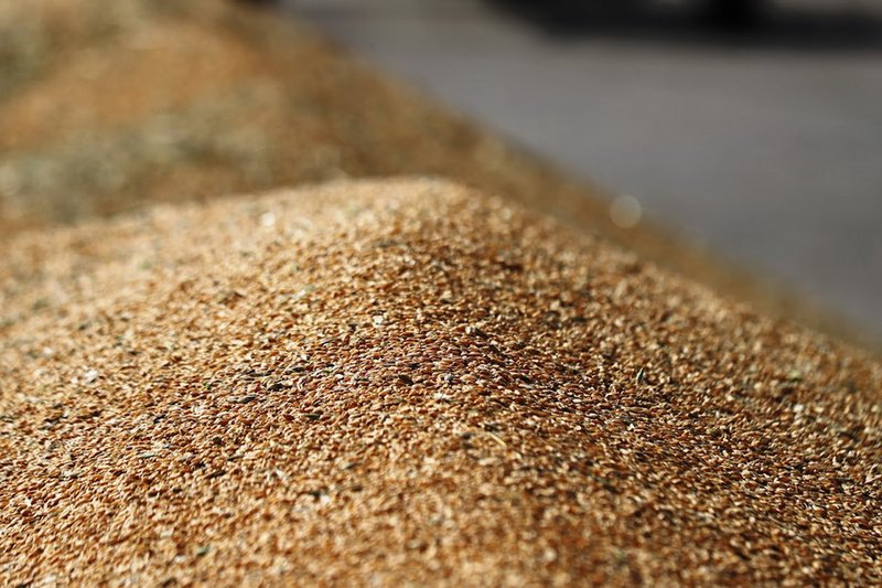 На 1 января в Казахстане запасы зерна  составили 15,8 млн тонн