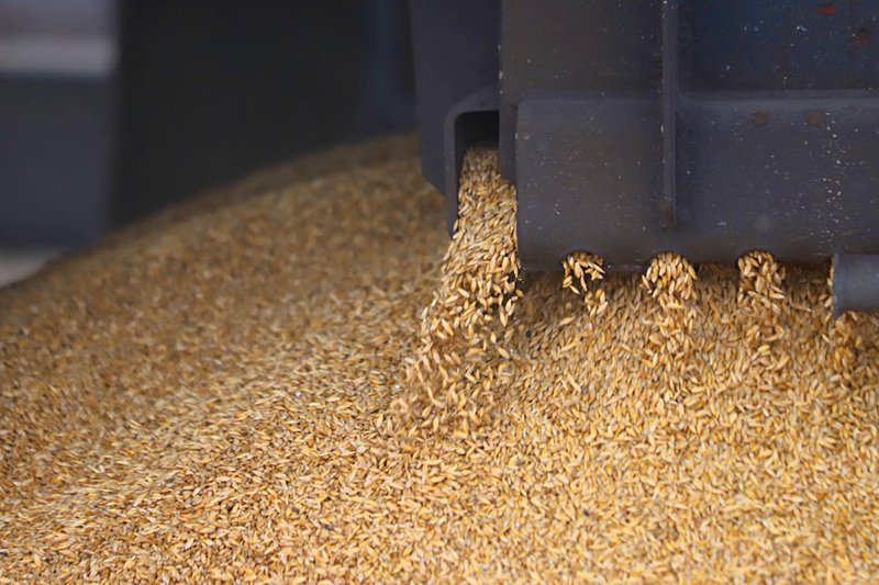 Перевозка зерна за первых два месяца 2023 года выросла на 16%
