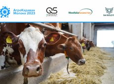 Молочная ферма, как метод диверсификации рисков: в Казахстане завершился АгроКараван Молоко 2023