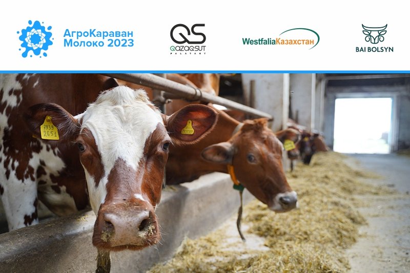 Молочная ферма, как метод диверсификации рисков: в Казахстане завершился АгроКараван Молоко 2023