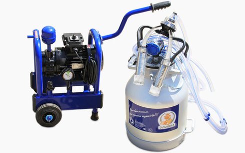 Доильный аппарат Доюшка Мини (исп. 2) 1АС