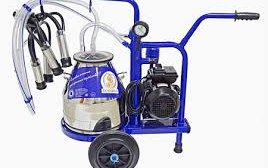 Доильный аппарат Доюшка Мини 1СР