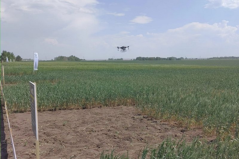 Агродрондар лизингке. Қазақстандық бидайдың экспорттық жеткізілімдерінің географиясы мен көлемін кеңейту-№ 86 АгроИнсайд