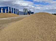 Экспортные цены на пшеницу завершили в 2022 году за тонну на уровне $388