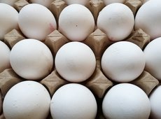 В Казахстане будут расширять яичные птицефабрики