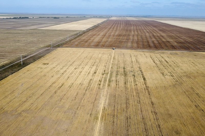 В Казахстане ввели лимиты на владение сельхозземлей