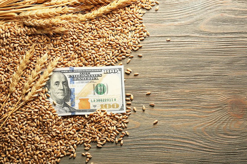 Пшенице предсказали рост цен, а тенге подешевел