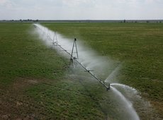 В Казахстане фермеров будут стимулировать внедрять водосберегающие технологии