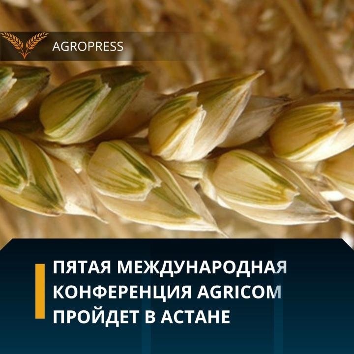 В Астане пройдет 5-я международная конференция AGRICOM