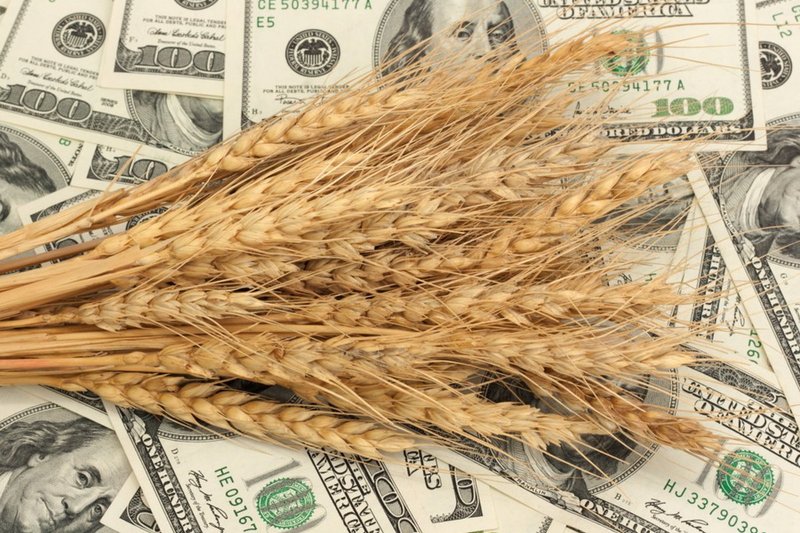 Цены на пшеницу стабильны, а тенге дешевеет