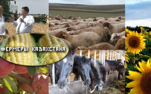 Фермеры Казахстана