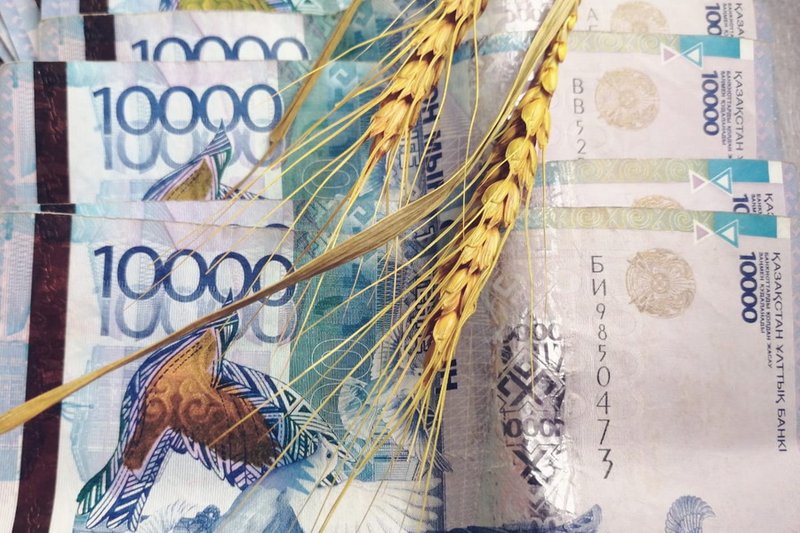 В Казахстане производители сельхозпродукции увеличили цены  в среднем на 9%