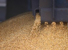 В феврале КТЖ прогнозирует погрузку 1 млн тонн зерна