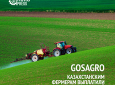 Gosagro выплатило 108,8 млрд тенге субсидий казахстанским фермерам
