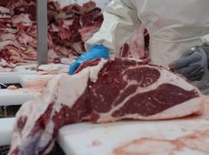 За 2022 года в Казахстане выросло на 5,5% производство мясных консервов