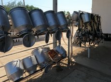 По итогам 2022 года в Казахстане объем надоенного молока  увеличился на 2%