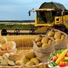 Бизнес в сельском хозяйстве Казахстана