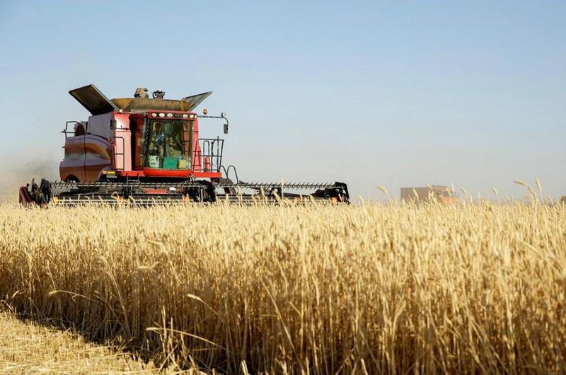 В Жамбылской области началась уборка озимых культур