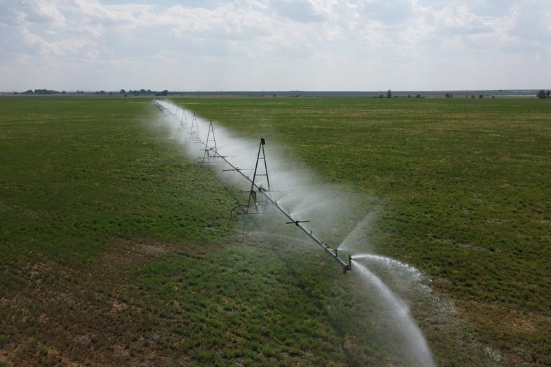 Тарифы на поливную воду пересмотрят в Казахстане