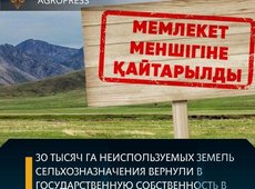 Ақтөбе облысында 30 мың гектар жер мемлекеттік меншікке қайтарылды