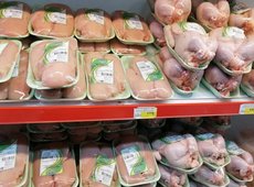 Проект «Развитие мясного птицеводства» реализуют в Жамбылской области