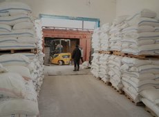 Мукомольный завод ALTYN NAN запущен в Туркестанской области