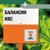 БАЛАНСИЯ КВС қант қызылшасы сұрпы