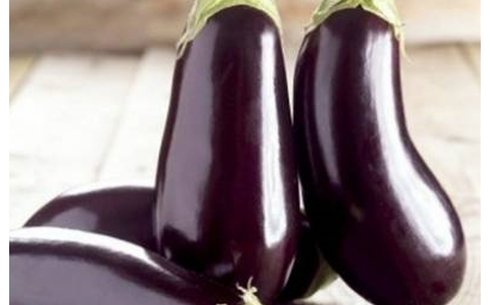 Баклажан сорт Алмаз