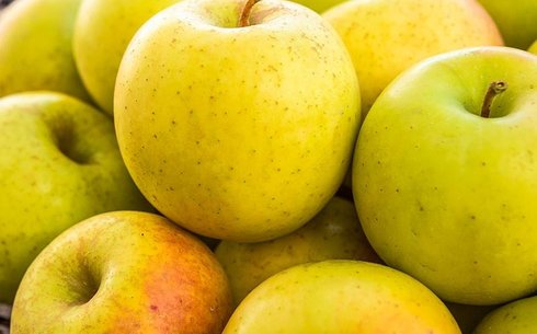 Яблоня сорт Голд Раш