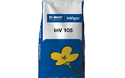 Рапс сорт ИНВ 105