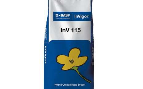 Рапс сорт ИНВ 115