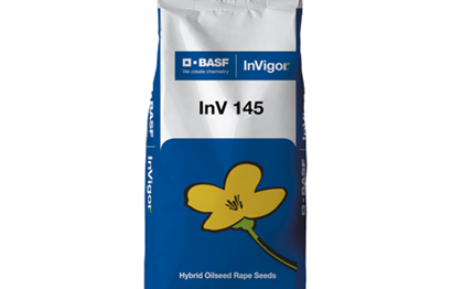 ИНВ 145 рапс сұрпы