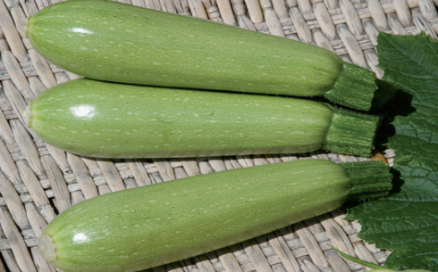 Кабачок сорт Марроу