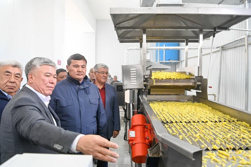 В Кызылорде запущен завод по производству картофеля фри