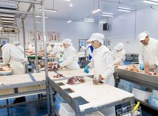 Кублей планирует запустить собственную откормочную площадку