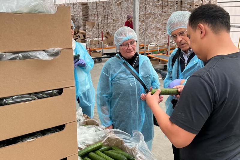 Казахстан расширяет экспорт фруктов и овощей