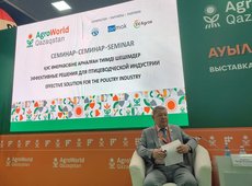 Птицеводы просят разрешить ввоз пшеницы автотранспортом