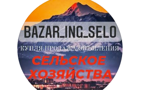 bazar_ing_selo
