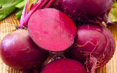 Свекла столовая сорт Либеро