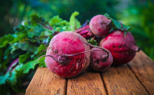 Свекла столовая сорт Сания