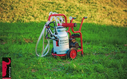 Доильный аппарат Melasty TJKKC 2-AS