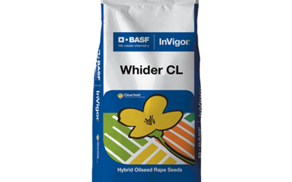 Видер КЛ (Clearfield) рапс сұрпы