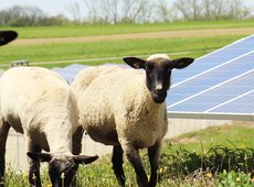 ТОП-10 советов по энергоэффективности молочной фермы от немецких животноводов