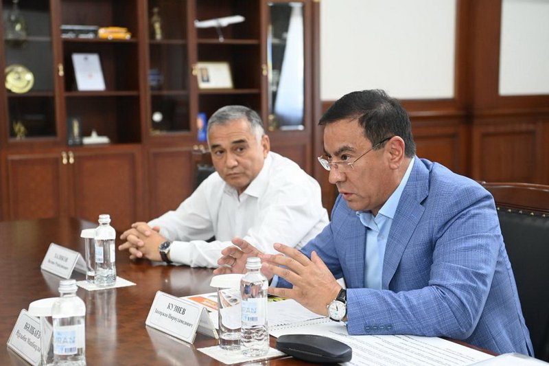 Переработку кукурузы хотят запустить в Кызылординской области