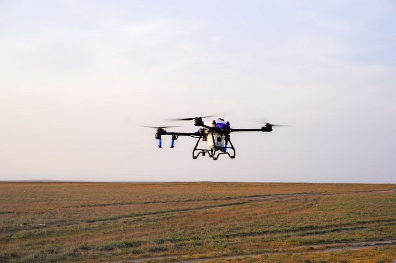 В борьбе против саранчовых в Казахстане задействуют более 50 агродронов