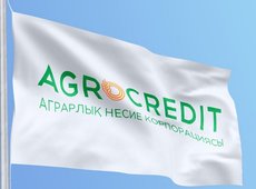 АКК приостановила прием заявок на страхование