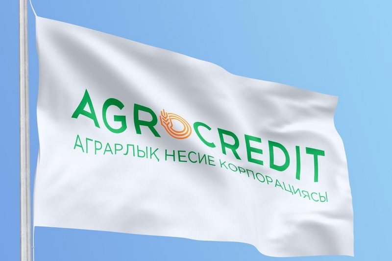 АКК приостановила прием заявок на страхование