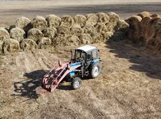 Новые меры господдержки АПК представил Минсельхоз