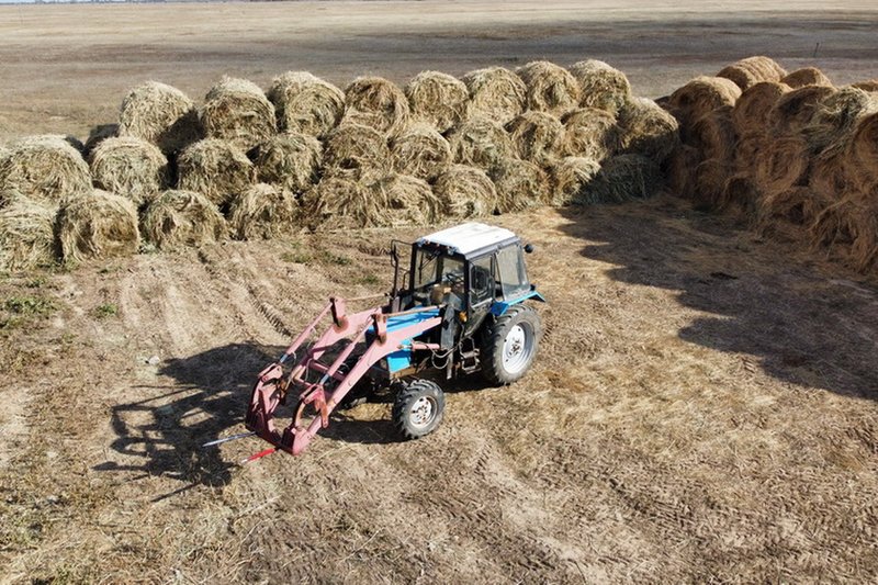 Новые меры господдержки АПК представил Минсельхоз